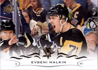 2018-19 Upper Deck #141 Evgeni Malkin