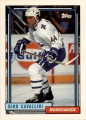 1992-93 Topps #234 Gino Cavallini