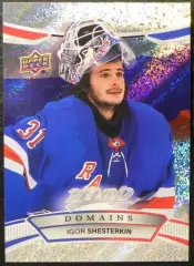 2022-23 Upper Deck MVP Domains #NA27 Igor Shesterkin