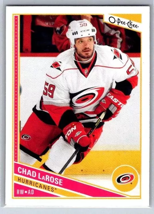 2013-14 O-Pee-Chee #265 Chad LaRose