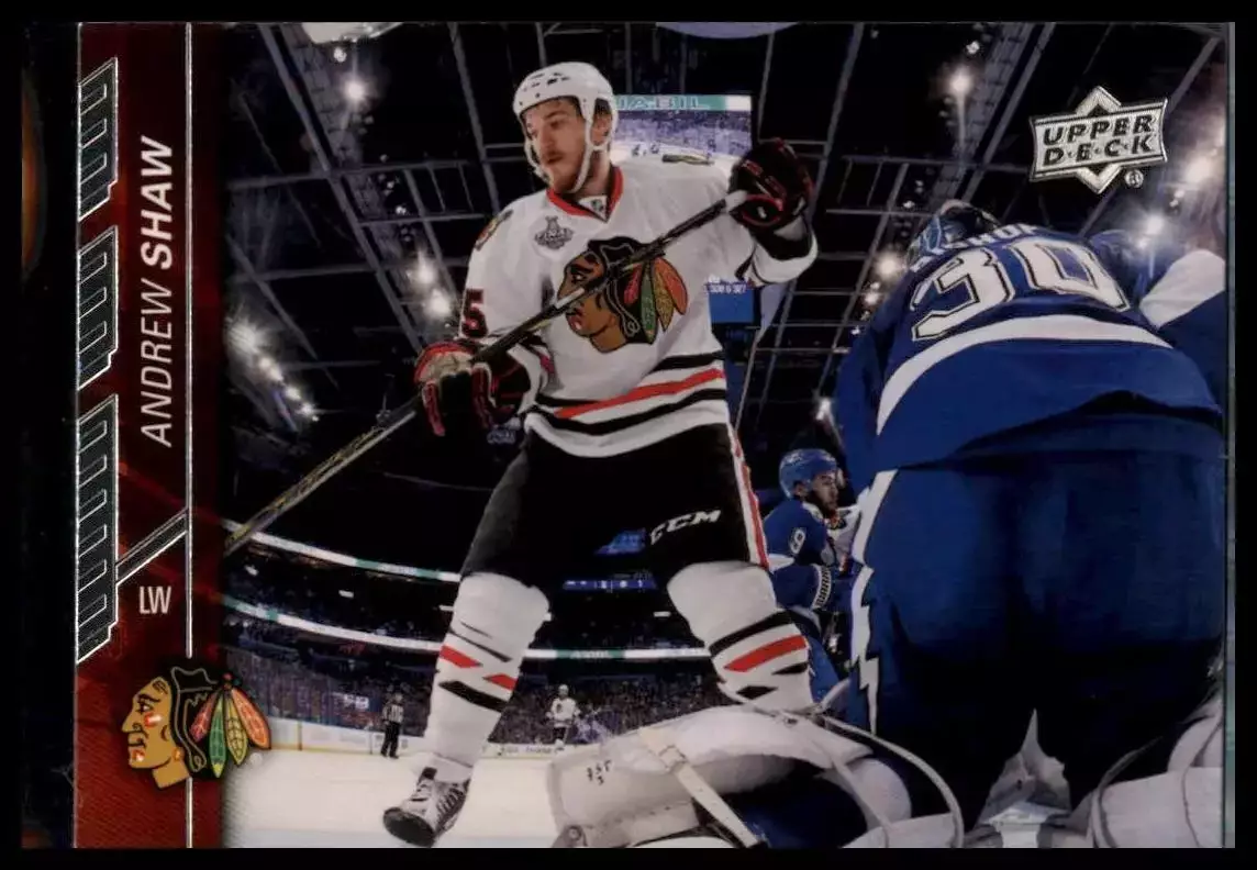 2015-16 Upper Deck #38 Andrew Shaw