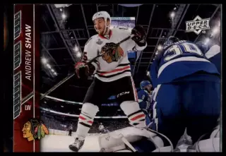 2015-16 Upper Deck #38 Andrew Shaw