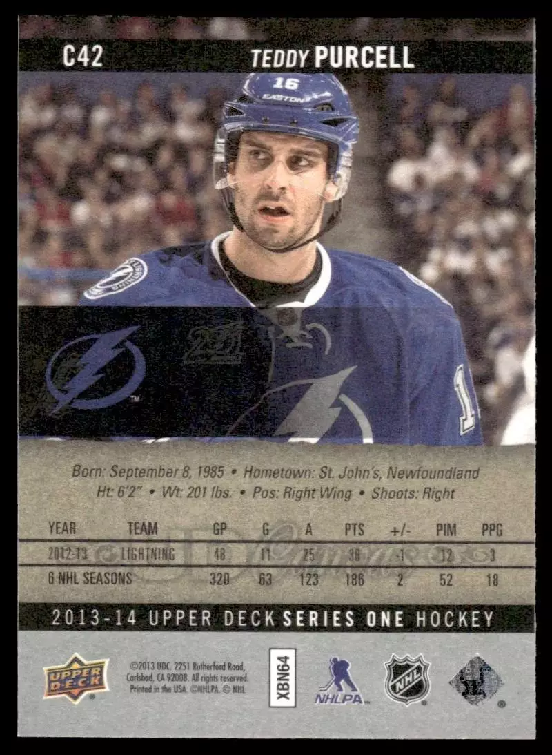 2013-14 Upper Deck Canvas #C42 Teddy Purcell 1