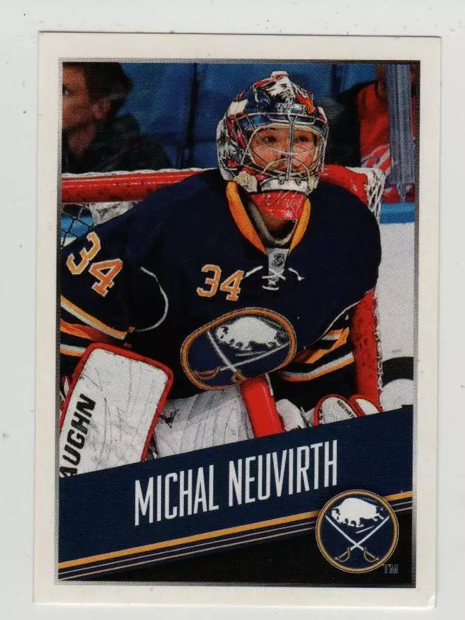 PANINI NHL 2014-2015 #24 Michal Neuvirth