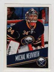 PANINI NHL 2014-2015 #24 Michal Neuvirth