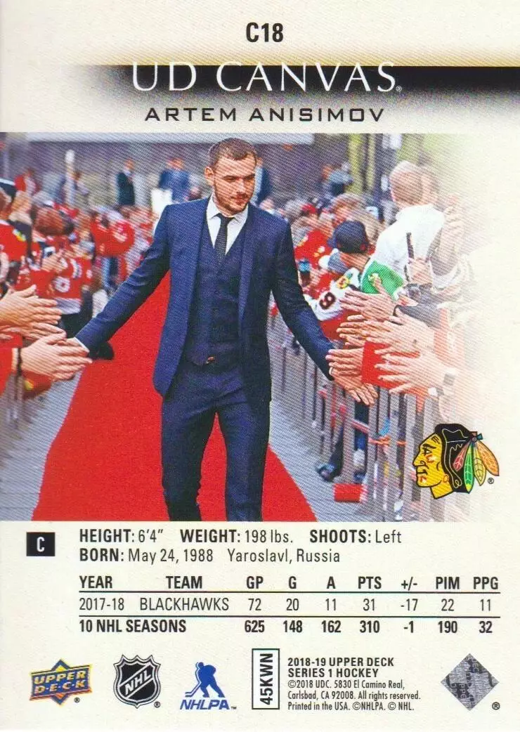 2018-19 Upper Deck Canvas #C18 Artem Anisimov 1