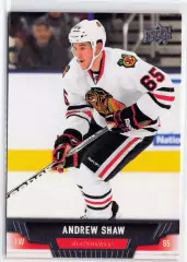 2013-14 Upper Deck #114 Andrew Shaw