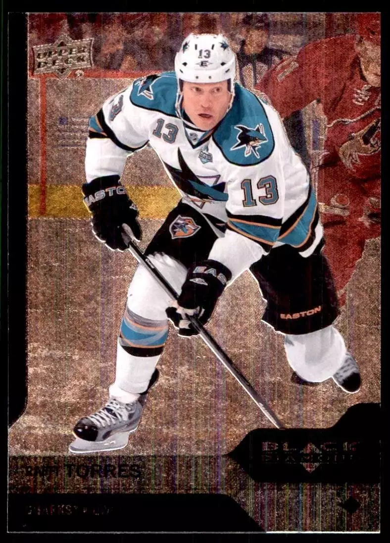 2013-14 Black Diamond #27 Raffi Torres