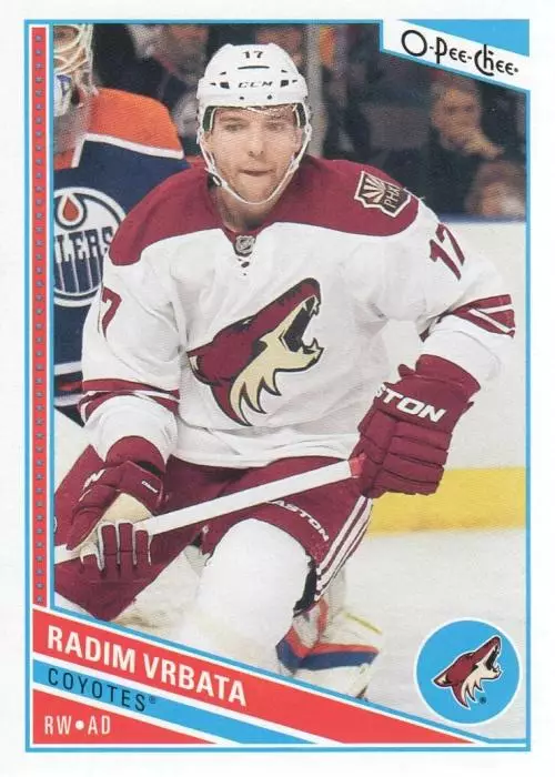 2013-14 O-Pee-Chee #55 Radim Vrbata