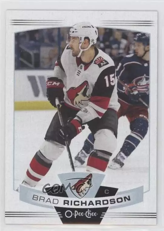 2019-20 O-Pee-Chee #454 Brad Richardson