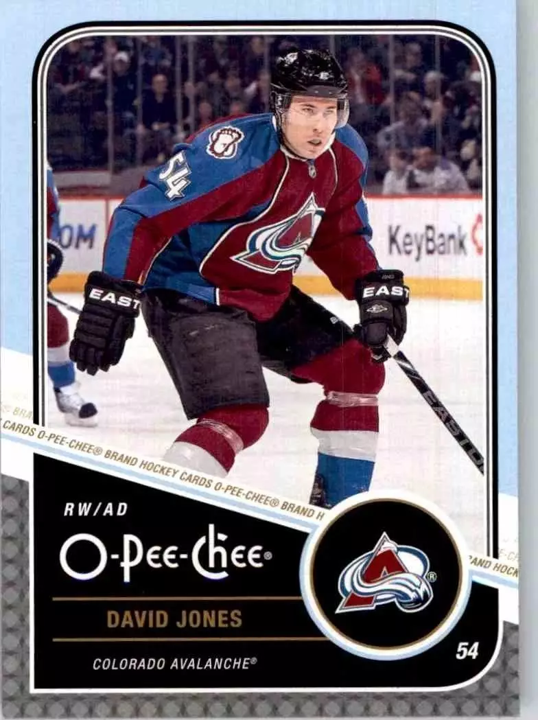 2011-12 O-Pee-Chee #178 David Jones