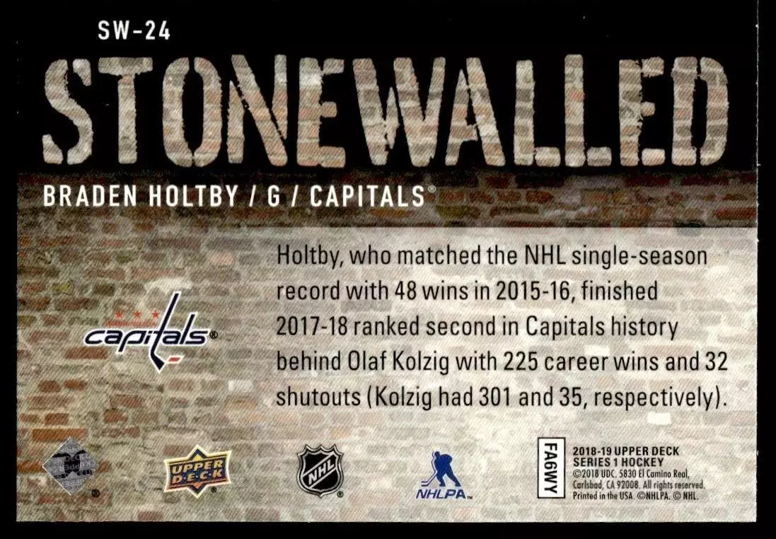 2018-19 Upper Deck Stonewalled #SW24 Braden Holtby 1