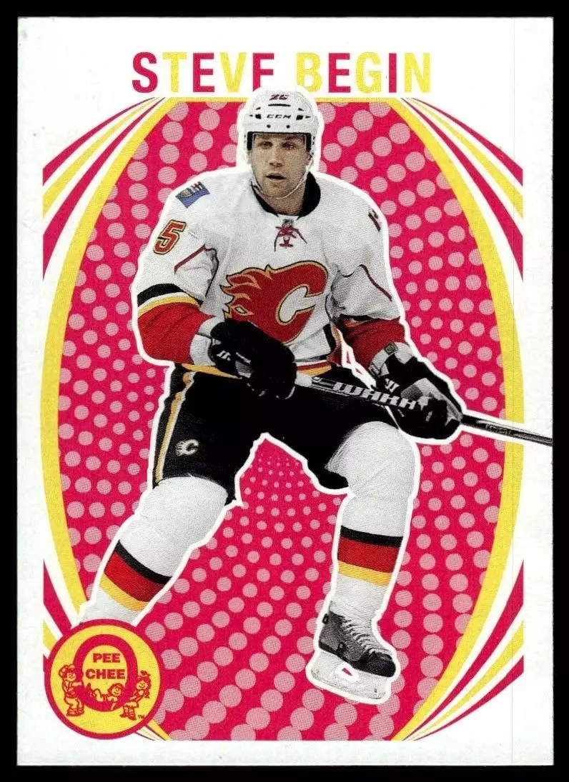 2013-14 O-Pee-Chee Retro #350 Steve Begin