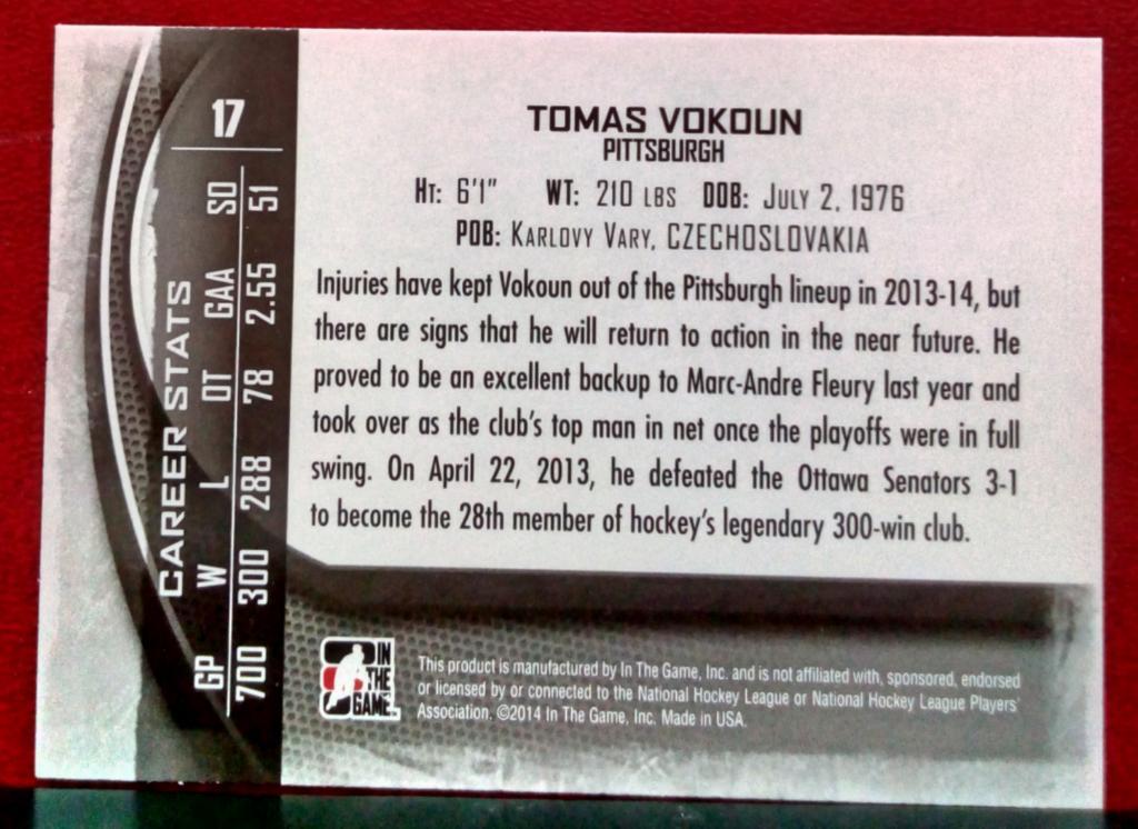 2013-14 Between the Pipes #17 Tomas Vokoun SG (NHL) 1