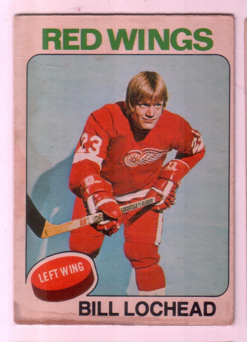 1975-76 O-Pee-Chee #103 Billy Lochead/Detroit Red Wings/