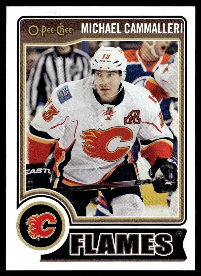 2014-15 O-Pee-Chee - [Base] #224 Michael Cammalleri