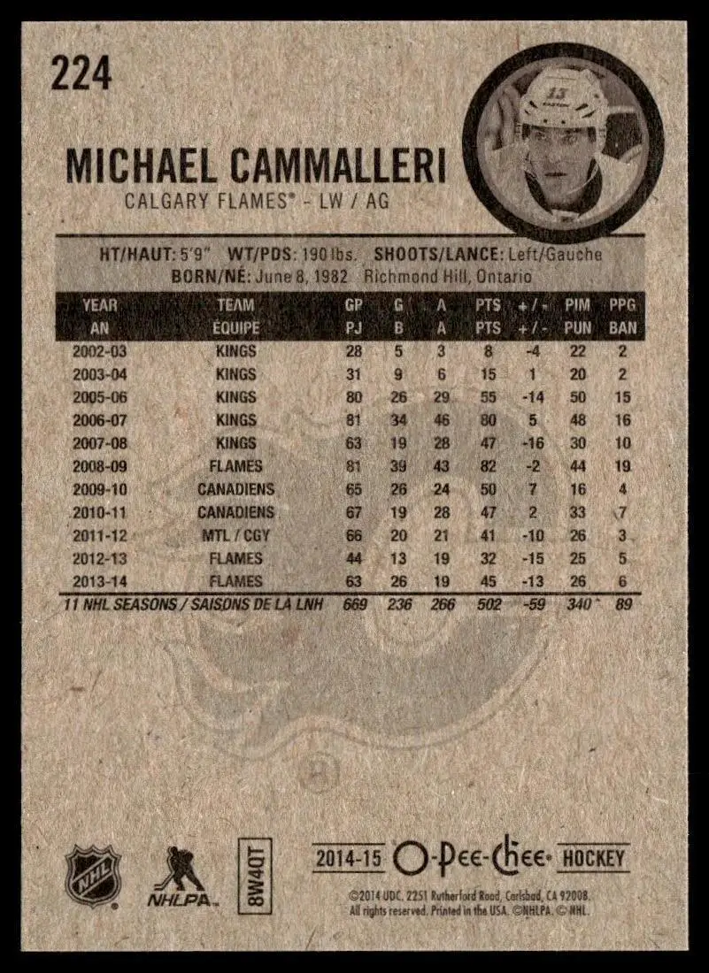 2014-15 O-Pee-Chee - [Base] #224 Michael Cammalleri 1