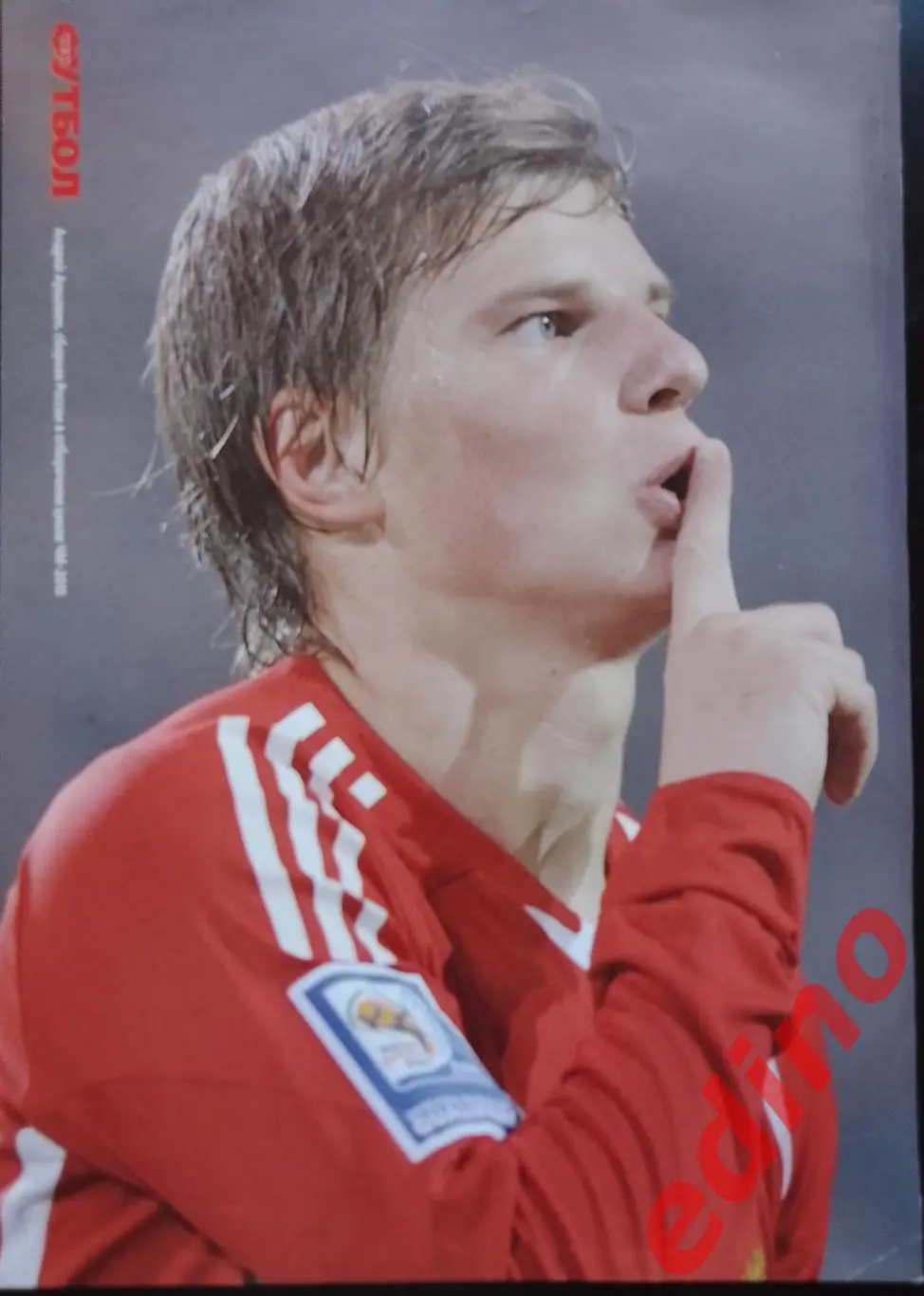 Дмитрий Аршавин 4