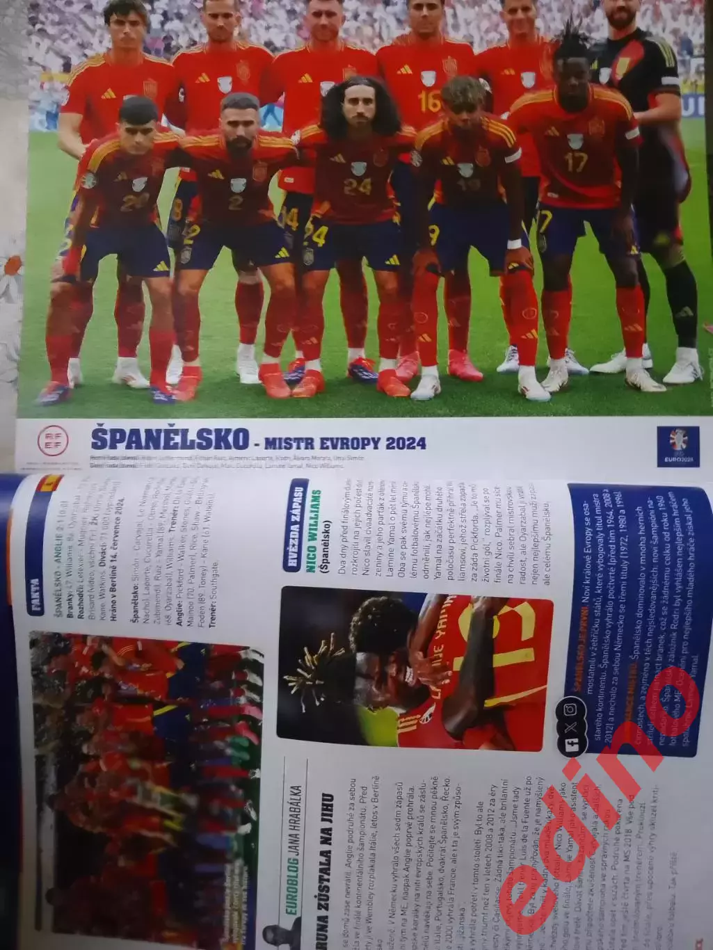 hattrick чемпионат Европы2024 итоги постеры 1