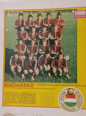 Венгрия участник чемпионата мира 1978