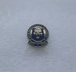 Официальный значок ХК Медвешчак Загреб, Хорватия