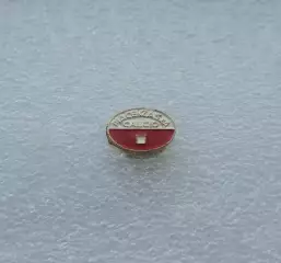 Официальный значок ФК Пьяченца Пьяченца, Италия