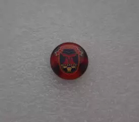 Официальный значок ФК Металлург Красноярск. Выпуск 2010 года