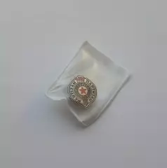Официальный значок ФК Партизан Белград, Сербия