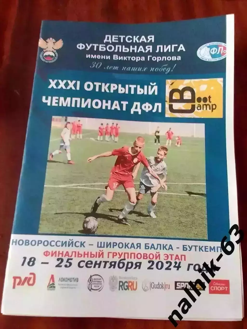 Волгоград, Калининград,Воронеж, Белгород. Владимир, Брянск\ДФЛ\Новороссийск 2024