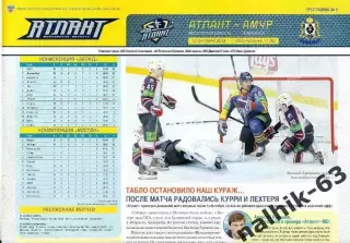 Атлант Московская обл.-Амур Хабаровск 2013-2014 год