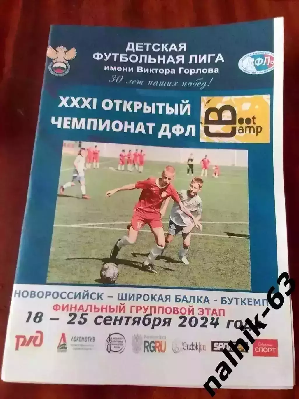 Волгоград, Калининград,Воронеж, Белгород. Владимир, Брянск\ДФЛ\Новороссийск 2024