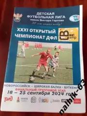 Волгоград, Калининград,Воронеж, Белгород. Владимир, Брянск\ДФЛ\Новороссийск 2024