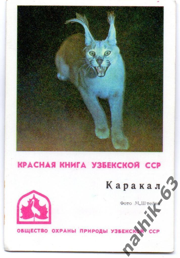Календарик Красная книга Узбекской ССР/1982 год