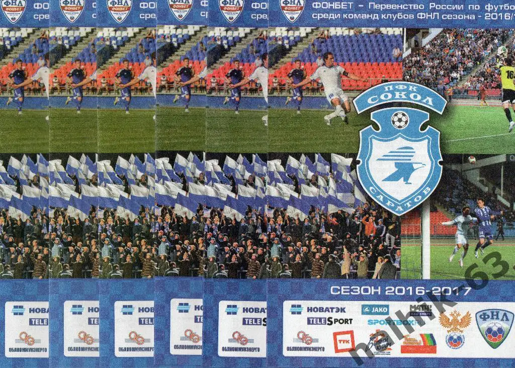 Сокол Саратов-Факел Воронеж 2016-2017 год