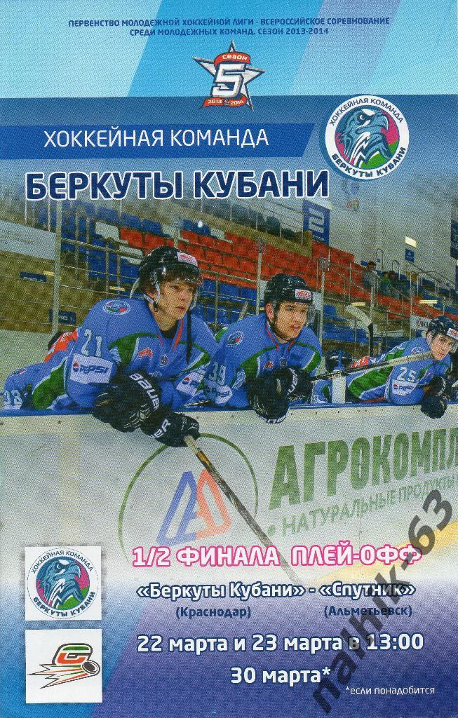 МХЛ Беркуты Кубани Краснодар-Альметьевск 22 и 23 марта 2014 год плей-офф