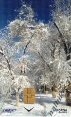 телефонная карта Астрахань зима