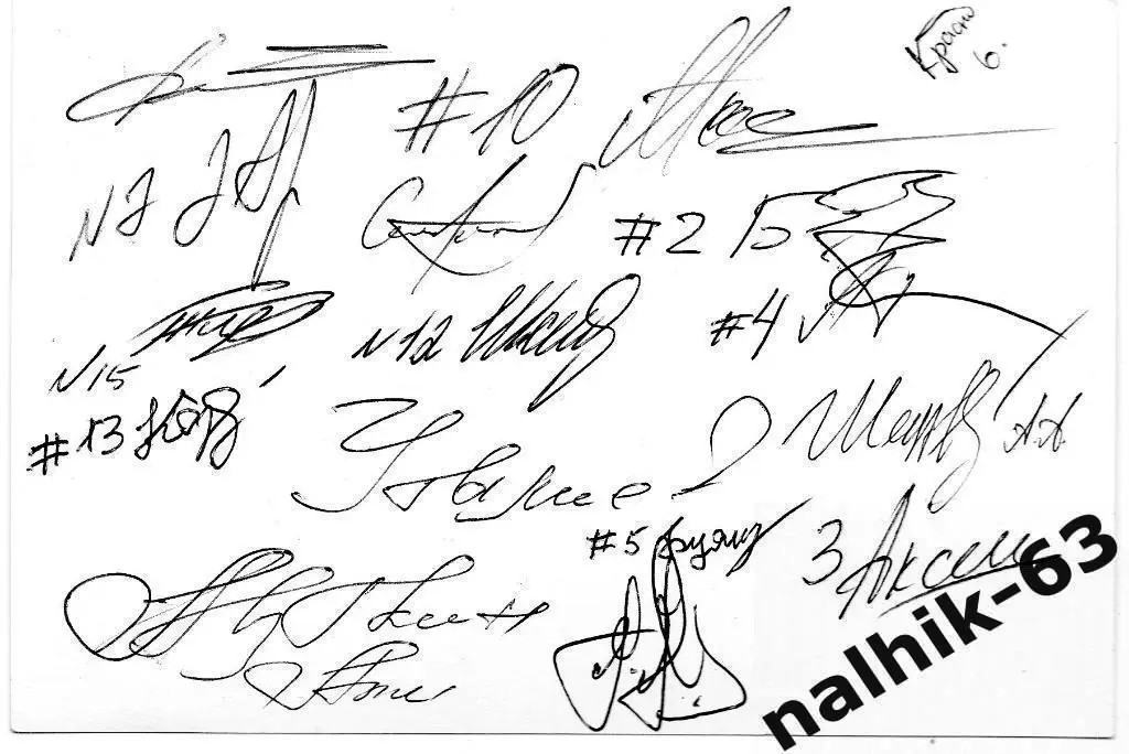 Ватерпольный клуб Динамо Астрахань 2014-2015 год с автографами команды 1