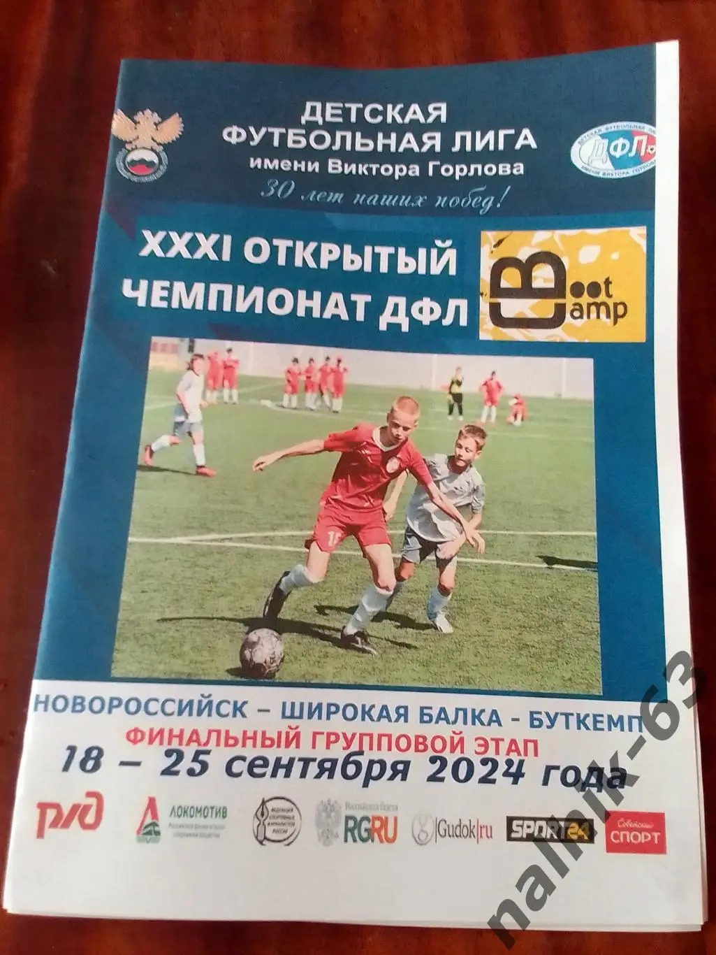 Волгоград, Калининград,Воронеж, Белгород. Владимир, Брянск\ДФЛ\Новороссийск 2024