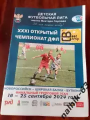 Волгоград, Калининград,Воронеж, Белгород. Владимир, Брянск\ДФЛ\Новороссийск 2024