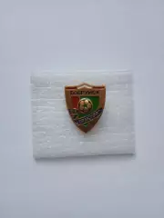 Значок. ФК Трактор Бобруйск