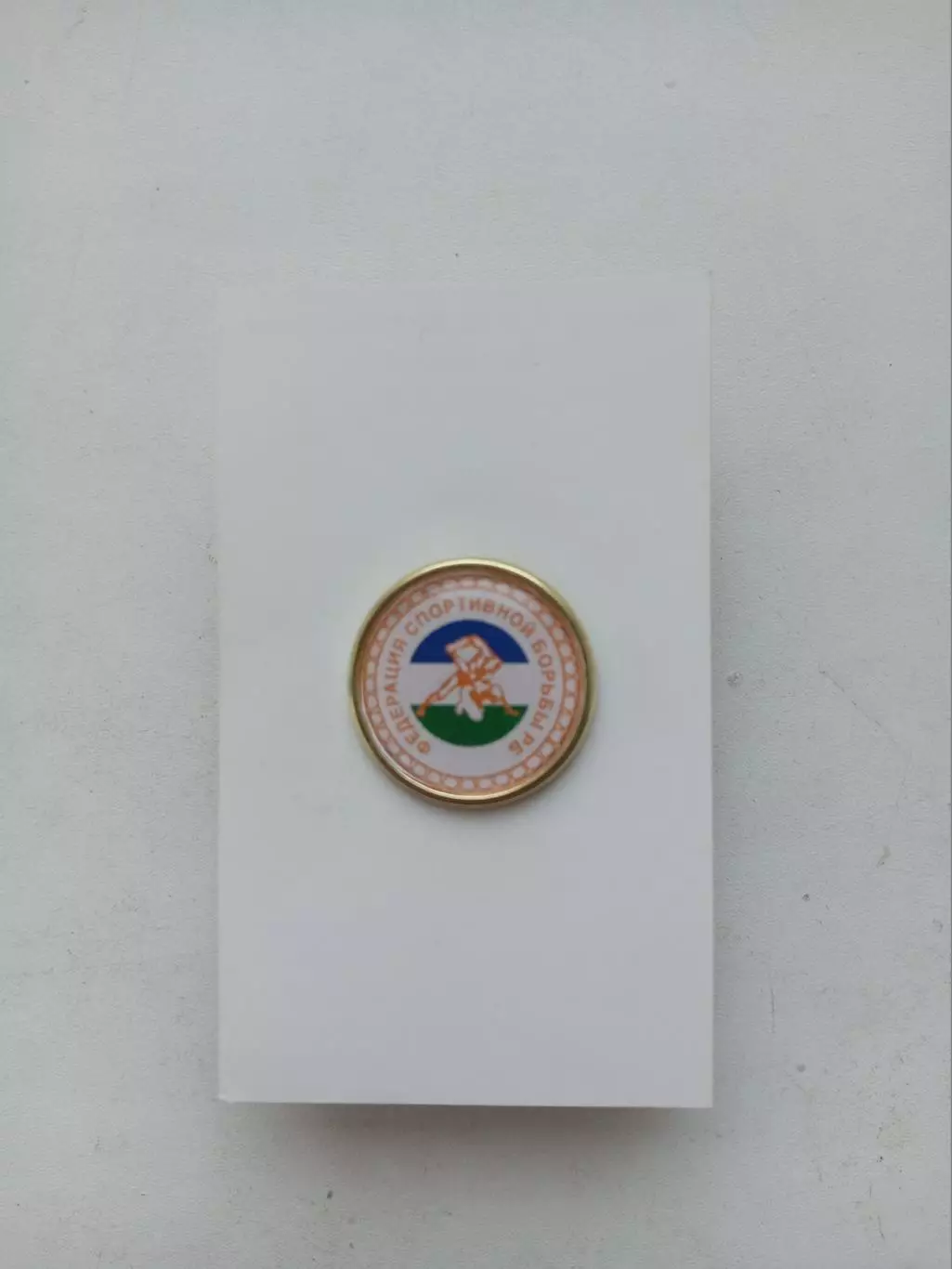 Значок. Федерация Спортивной Борьбы РБ