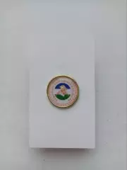 Значок. Федерация Спортивной Борьбы РБ