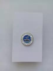 Значок. ФК Гори Грузия