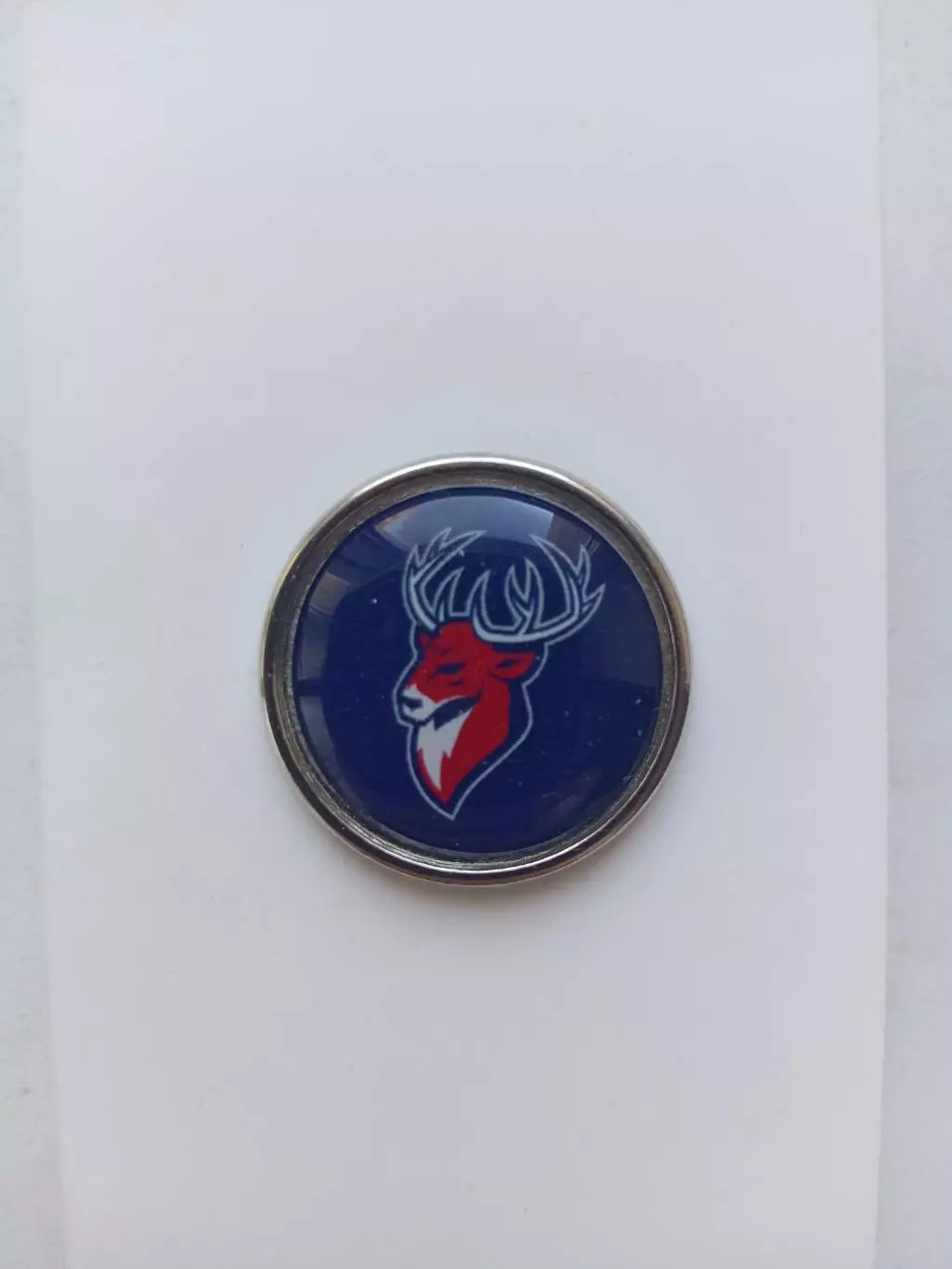 Значок. Торпедо Нижний Новгород-5