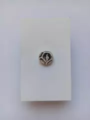 Значок. ФФ Беларусь официал