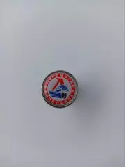 Значок. КХЛ ХК Локомотив Ярославль