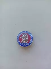 Значок. ФК Broadbridge Heath -Англия Нон-Лига