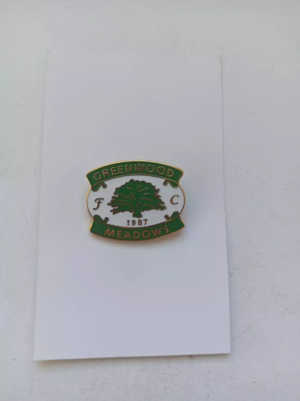 Значок. ФК Greenwood Meadows -Англия Нон-Лига