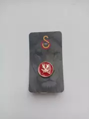 Значок. ФК Галатасарай официальный знак-1