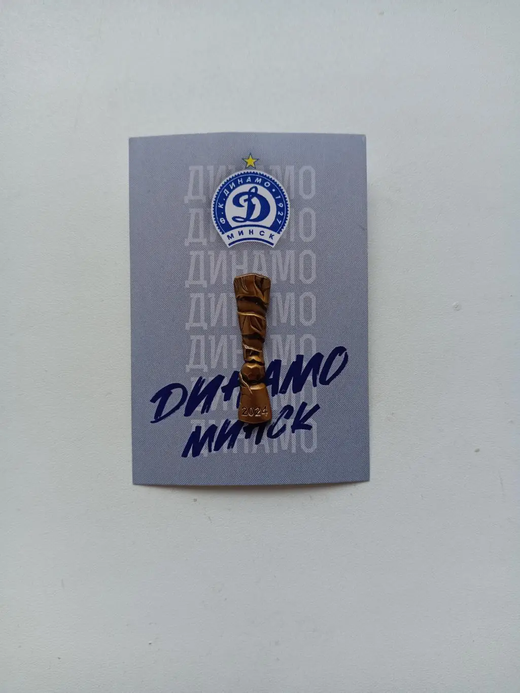 Значок. ФК Динамо Минск Чемпион 2024-официальная продукция 6